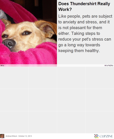 do thundershirts really work