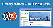 Building a Social Site With WordPress using BuddyPress