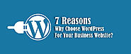 7 Reasons Why Choose WordPress For Your Dubai Business Website?