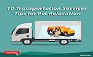 10 Transportation Services Tips for Pet Relocation