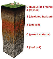 What is Soil?
