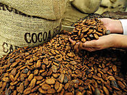 Cocoa Processing Market Report and Forecast 2017-2022