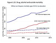 Poisoning, suicide and alcohol-related liver mortalities are increasing dramatically.
