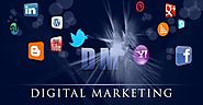 Social Media Management Firm In India