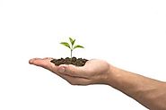 Best IVF Treatment Process in Canada
