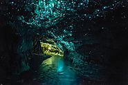 A Cave Filled with Glowing Worms: Waitomo Glowworm Cave