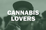 Submit Free CBD/Cannabis guest posts/articles | Follow the guidelines - Cannabiss Blog