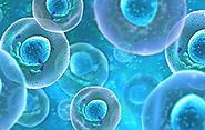 Delivering Best Cell Culture Services for Bio-manufacturing