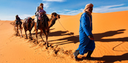 Camel Ride and Sand Ski Dubai