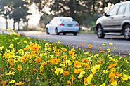 Get the Benefits of Spring Automotive Service for your car!