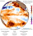 Global Sea Surface Temperatures Increase to Extraordinary +1.25 C Anomaly as El Nino Tightens Grip on Pacific