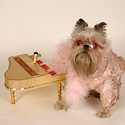Halloween Pet Costumes