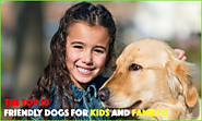 Top 10 Dogs which are Safe for your Kids