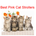 Best Pink Cat Strollers - News - Bubblews