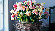 Birch-Wrapped Basket with Tulips and Daffodils