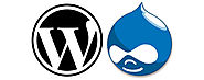 WordPress & Drupal Vulnerability? –  Keep calm and update! - TD Web Services