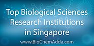 Top Biological Sciences Research Institutions in Singapore - BioChem Adda