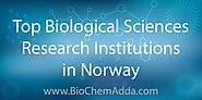 Top Biological Sciences Research Institutions in Norway - BioChem Adda