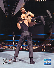 The Undertaker's Finishing Moves