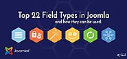 Top 22 Field Types in Joomla and how they can be used