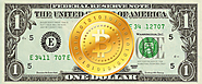 Bitcoin Exchange Rate | Bitcoin Trading Platform