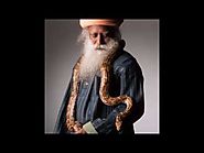 Sadhguru - Dont be afraid to be free. All about freedom in life