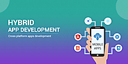 Hybrid App Development Companies | Hybrid App Developers