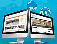 Responsive Website Design Gives You High Performance