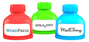 Magic Potion of Newsletters: WordPress, Gravity Forms & MailChimp