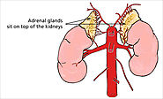 Adrenal Surgery by Dr Stan Sidhu