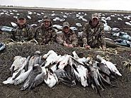 Duck hunting Missouri