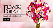 Online Flowers Delivery in India: Florists in India