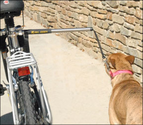 Bike Riding With Your Dog - Whole Dog Journal Article