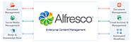 Open-source Content Management Portal Using Alfresco EE