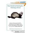 Ferret Training Tips