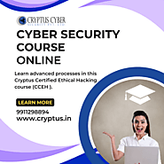 Ethical Hacking Course Online with Certificate