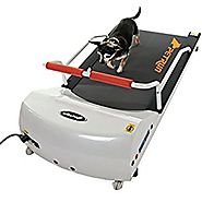 Go Pet Petrun Pr700 Dog Treadmill Indoor Exercise / Fitness Kit - For Dogs Upto 44 Pounds