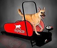 dogPACER LF 3.1 Folding Fitness Dog Treadmill For Dogs Up to 179 lbs