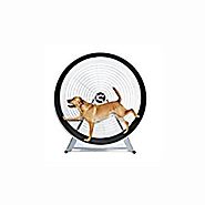Gopet Treadwheel - Indoor / Outdoor Exercise For Large Dogs