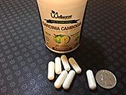 Wellsome Nutrition Garcinia Cambogia Weight Loss Suppressant - 90 Count
