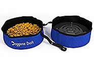 Collapsible Travel Pet Bowl 2 Pack for Water and Food, Set of 2 Portable Dog or Cat Bowls by Dog-Gone Dish
