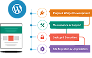 Wordpress Ecommerce Web Design Development Services Companies in India | TidbiT Solutions