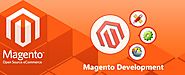 Magento Shopping Cart Website Development | Ecommerce Web Customization Services Company & Agency India