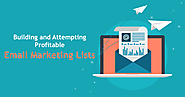 Building & Attempting Profitable Email Marketing Lists