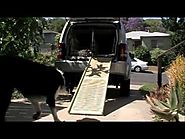 Train a dog to use a car ramp