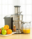 Breville 800JEXL Juice Fountain Elite