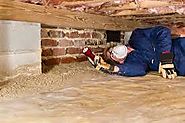 Pest Control Services to Get Rid of Dry Wood Termites