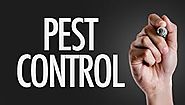 Tips for better pest control