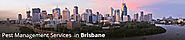 Offering Pest Management Brisbane Services at Competitive Rates