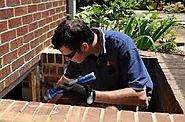 Ensuring Timely Removal of Termites with Termite Inspection Brisbane